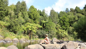 New Zealand nature
