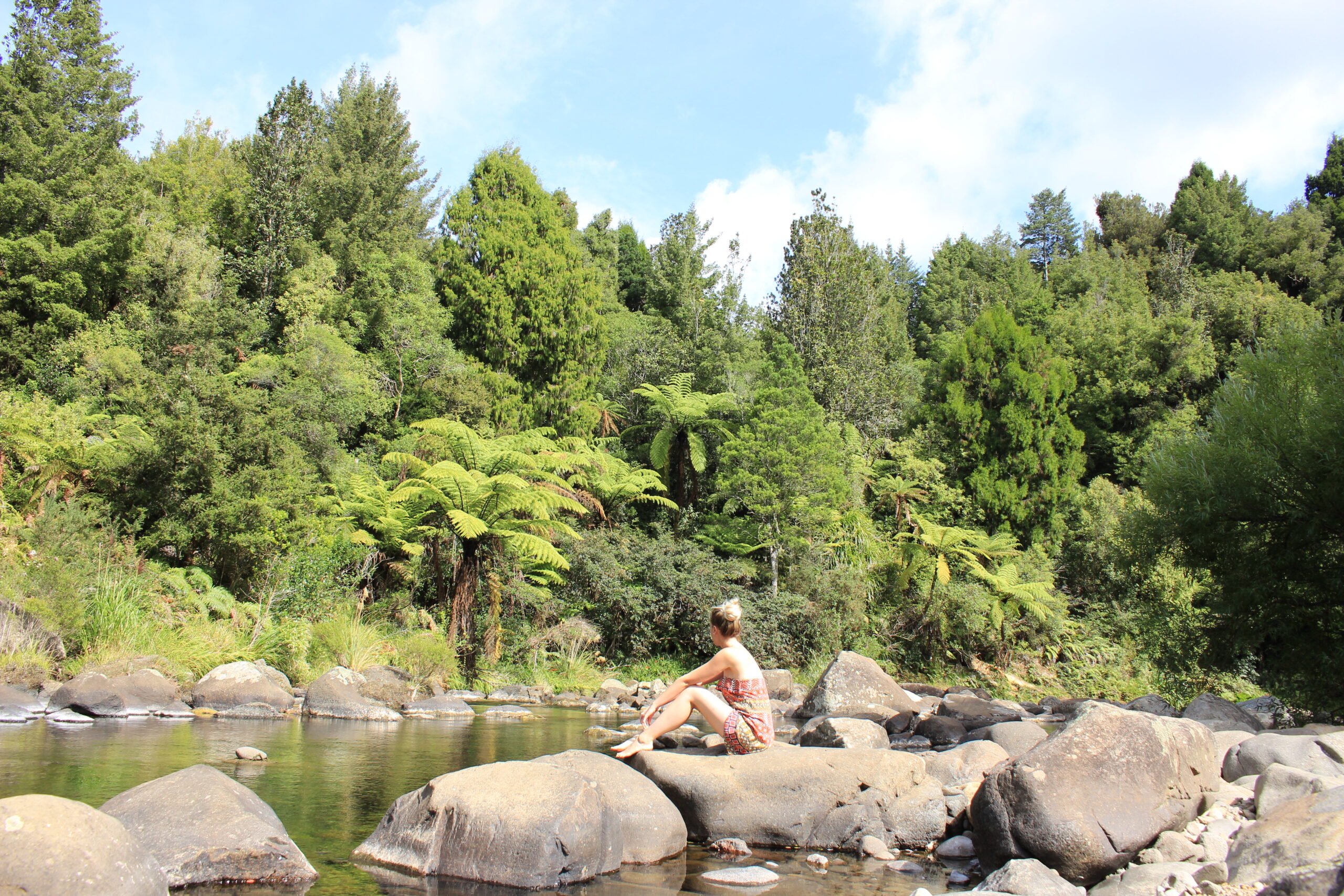 New Zealand nature
